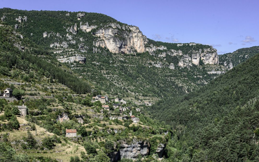 Gorges du Tarn et Millau : 10 activités incontournables pour des vacances nature